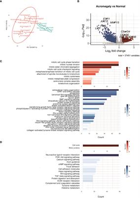 Differential gene expression and pathway analysis in growth hormone-secreting pituitary tumors according to granulation pattern